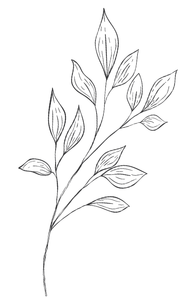 Two Souls Wedding Photographers